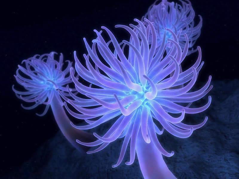 3D Wallpaper